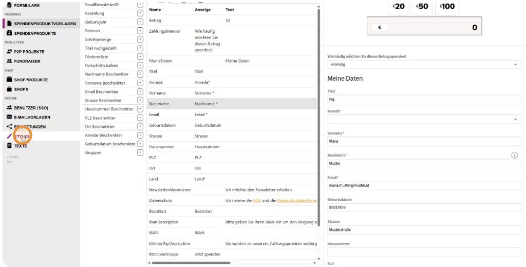 CSS unter Styles definieren